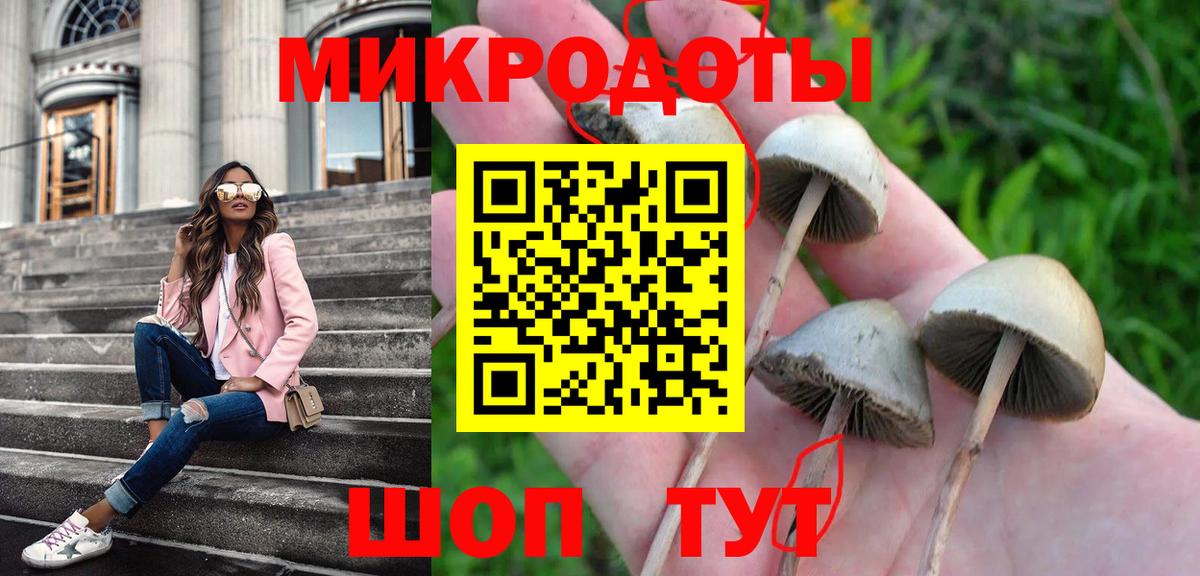 Галлюциногенные грибы мицелий  Вход с VPN  Астрахань 