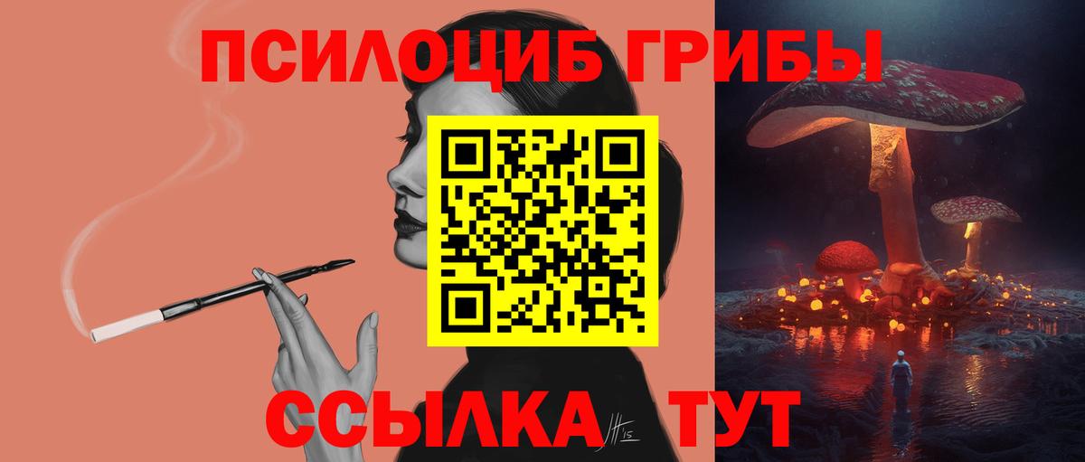 Галлюциногенные грибы мицелий Астрахань